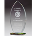 Arrowhead Shaped Clear Glass Award on Prism-Effect Oval Base