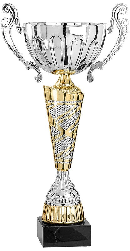 Silver and Gold Trophy Cup