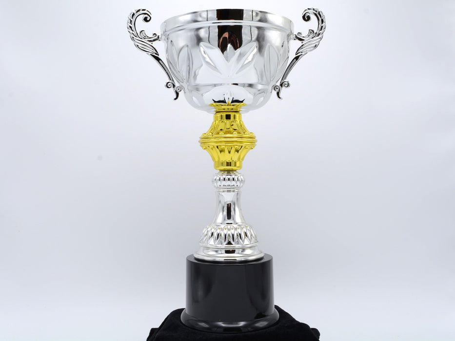 Silver Metal Cup Trophy on Plastic Base