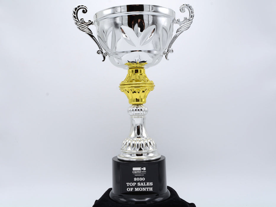 Silver Metal Cup Trophy with Handles on Weighted Plastic Base