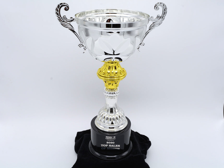 Silver Metal Cup Trophy on Plastic Base