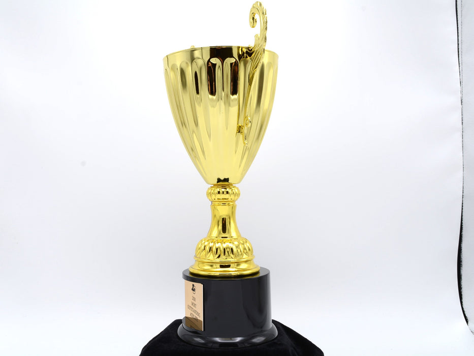 Gold Metal Cup Trophy on Plastic Base