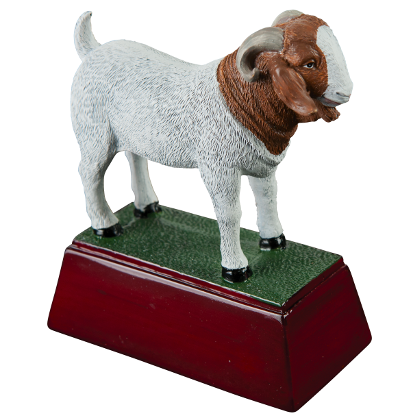 Goat Trophy