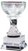 Sparkling Crystal Trophy Cup