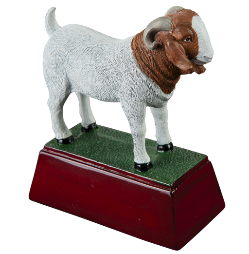 Goat Trophy