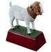 Goat Trophy