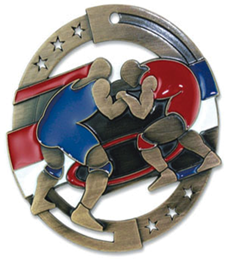2-3/4" Wrestling Color Enamel M3XL Medals